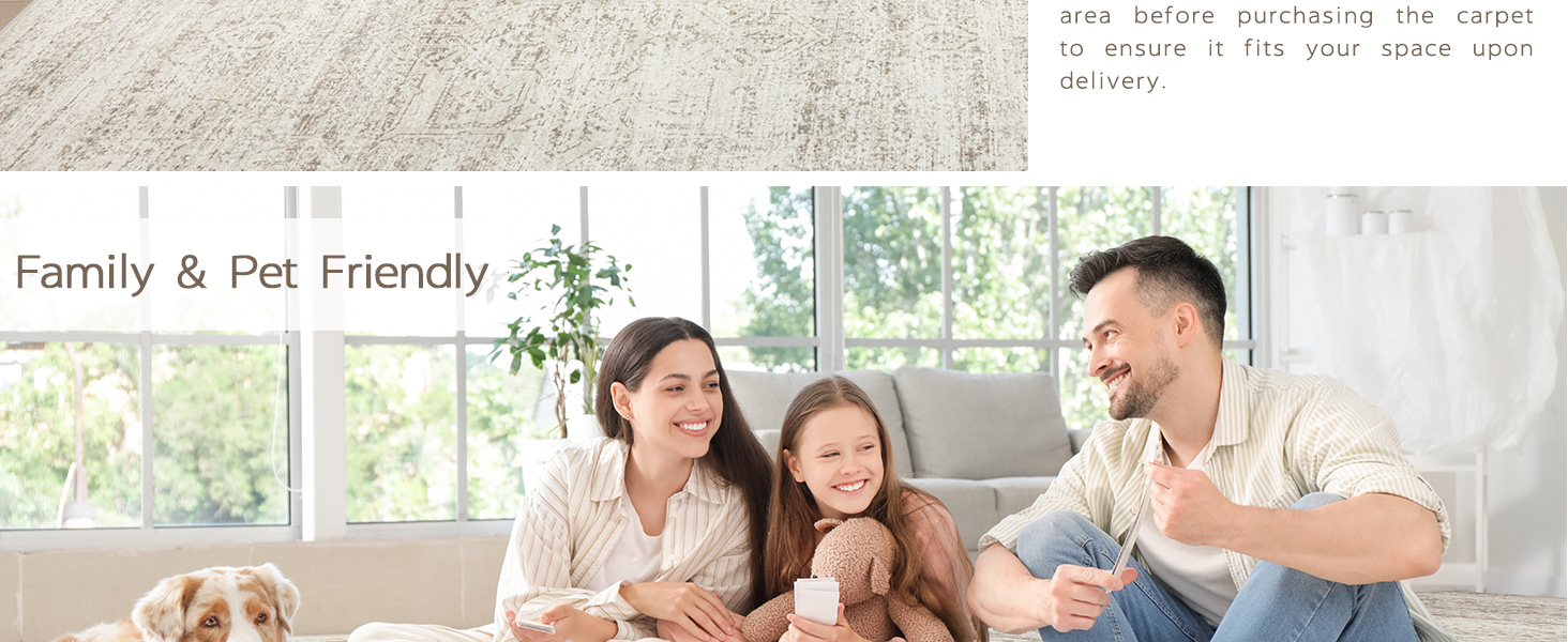living room rug